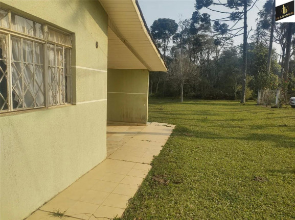 Imagem Imóvel com 3 Quartos à Venda, 20.000 m² em Imbuial - Colombo