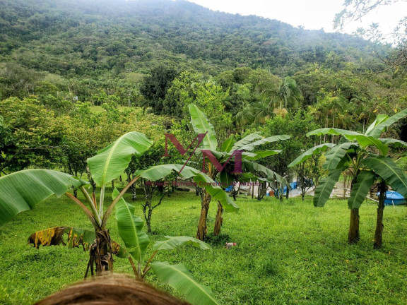 Imagem Chácara com 3 Quartos à Venda, 8.000 m² em Alexandra - Paranaguá