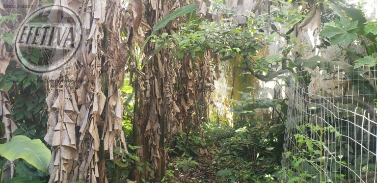 Imagem Terreno à Venda, 1.920 m² em Mirim - Guaratuba Imagem Terreno à Venda, 1.920 m² em Mirim - Guaratuba