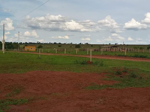 Imagem Fazenda à Venda, 2.027 m² em Rural - Campo Grande Imagem Fazenda à Venda, 2.027 m² em Rural - Campo Grande