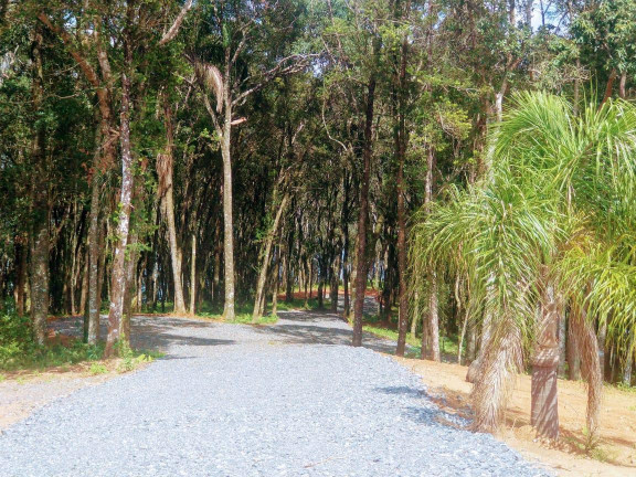 Imagem Imóvel à Venda, 20.000 m² em Botiatuva - Campo Largo Imagem Imóvel à Venda, 20.000 m² em Botiatuva - Campo Largo