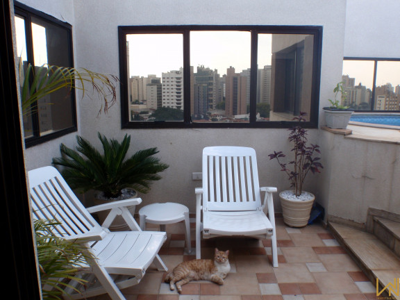 Imagem Imóvel com 3 Quartos à Venda, 165 m² em Cambuí - Campinas Imagem Imóvel com 3 Quartos à Venda, 165 m² em Cambuí - Campinas