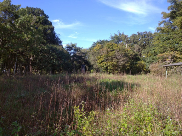Imagem Terreno à Venda, 39 m² em Volta Redonda - Araquari Imagem Terreno à Venda, 39 m² em Volta Redonda - Araquari
