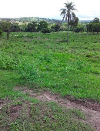 Imagem Imóvel com 7 Quartos à Venda,  em Campinápolis/mt - Campinápolis