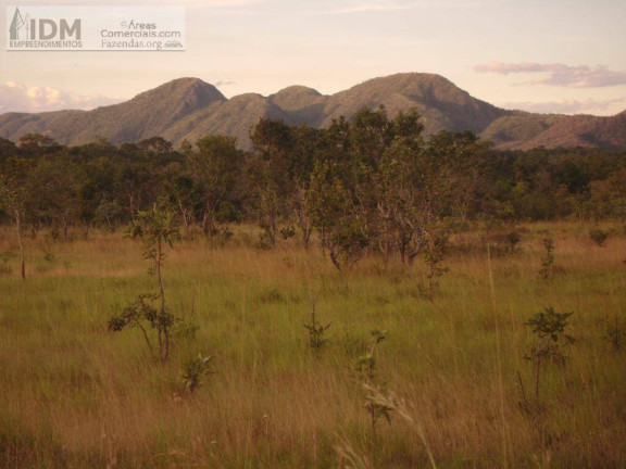 Chácara à Venda, 45.000.000 m² em Setor Central - Taipas Do Tocantins