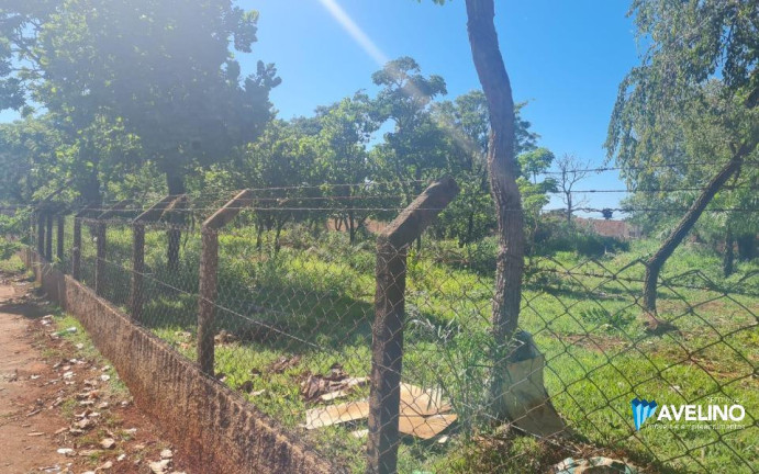 Imagem Casa com 1 Quarto à Venda, 10.500 m² em Vila São Jorge Da Lagoa - Campo Grande Imagem Casa com 1 Quarto à Venda, 10.500 m² em Vila São Jorge Da Lagoa - Campo Grande