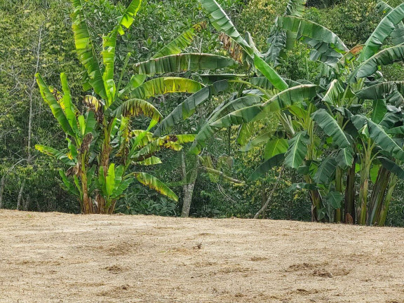 Imagem Terreno à Venda, 5.300 m² em Portão - Atibaia Imagem Terreno à Venda, 5.300 m² em Portão - Atibaia