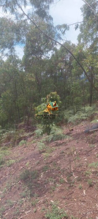 Imagem Chácara com 1 Quarto à Venda, 1.000 m² em Ponunduva - Cajamar