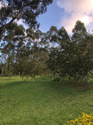 Imagem Chácara com 4 Quartos para Alugar ou Temporada, 350 m² em Santa Clara - Jundiaí Imagem Chácara com 4 Quartos para Alugar ou Temporada, 350 m² em Santa Clara - Jundiaí