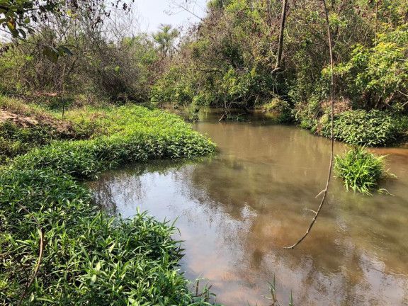 Imagem Fazenda à Venda, 351 m² em Rural - Rancharia Imagem Fazenda à Venda, 351 m² em Rural - Rancharia