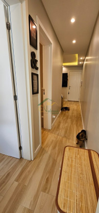 Imagem Apartamento com 2 Quartos à Venda, 47 m² em Ouro Fino - São José Dos Pinhais Imagem Apartamento com 2 Quartos à Venda, 47 m² em Ouro Fino - São José Dos Pinhais