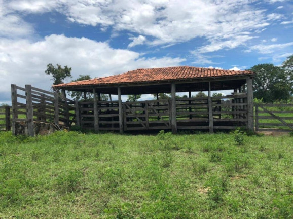 Fazenda à Venda, 1 m² em Zona Rural - Arraias