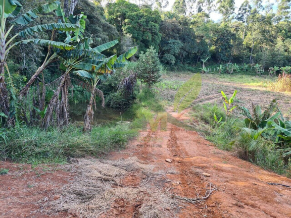 Imagem Chácara com 2 Quartos à Venda, 55.000 m² em Piracaia - Piracaia Imagem Chácara com 2 Quartos à Venda, 55.000 m² em Piracaia - Piracaia