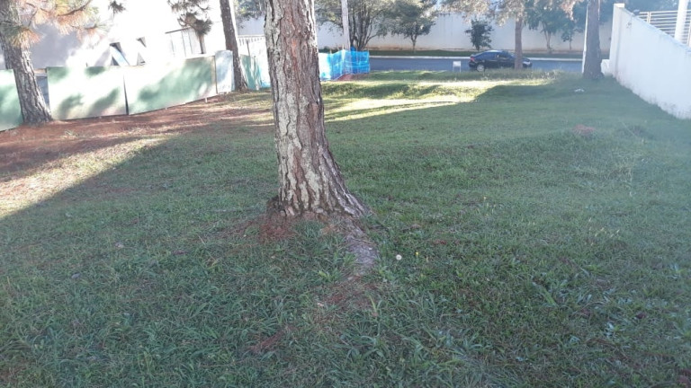 Imagem Terreno à Venda, 600 m² em Alphaville 0 - Barueri