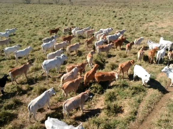 Imagem Fazenda à Venda, 4.460.000 m² em Bairros Da Pernambucana - São José Dos Campos