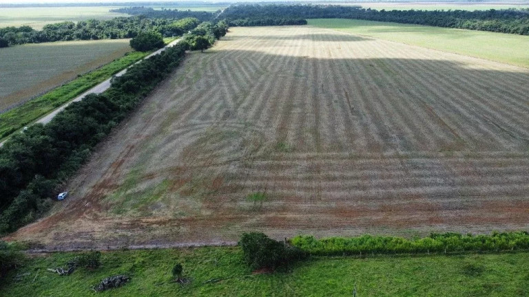 Imagem Fazenda à Venda, 40.000 m² em Loteamento Alto Da Glória - Sinop Imagem Fazenda à Venda, 40.000 m² em Loteamento Alto Da Glória - Sinop