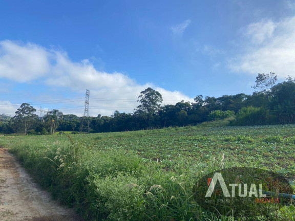 Imagem Terreno à Venda, 194 m² em Centro - Suzano