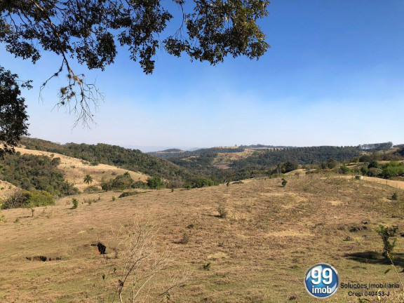 Imagem Chácara à Venda, 62.900 m² em Pardinho Imagem Chácara à Venda, 62.900 m² em Pardinho