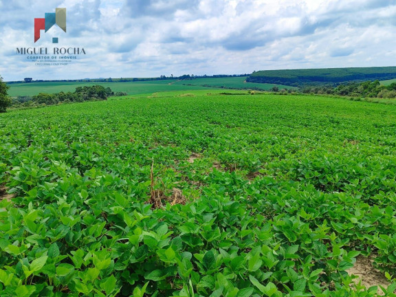 Imagem Imóvel com 2 Quartos à Venda, 532.400 m² em Cercadinho - Alambari Imagem Imóvel com 2 Quartos à Venda, 532.400 m² em Cercadinho - Alambari