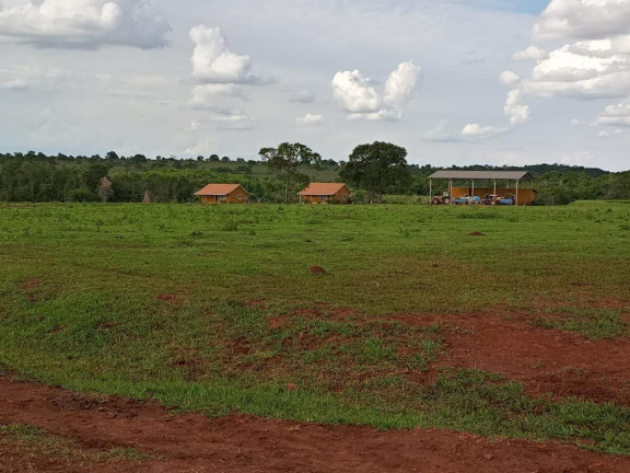 Imagem Fazenda à Venda, 2.027 m² em Rural - Campo Grande Imagem Fazenda à Venda, 2.027 m² em Rural - Campo Grande