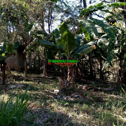 Imagem Chácara à Venda, 164.560 m² em Sob. Consulta - Paraibuna Imagem Chácara à Venda, 164.560 m² em Sob. Consulta - Paraibuna