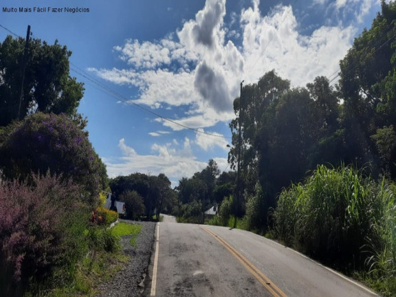 Imagem Terreno à Venda, 494 m² em Linha Olinda - Nova Petrópolis