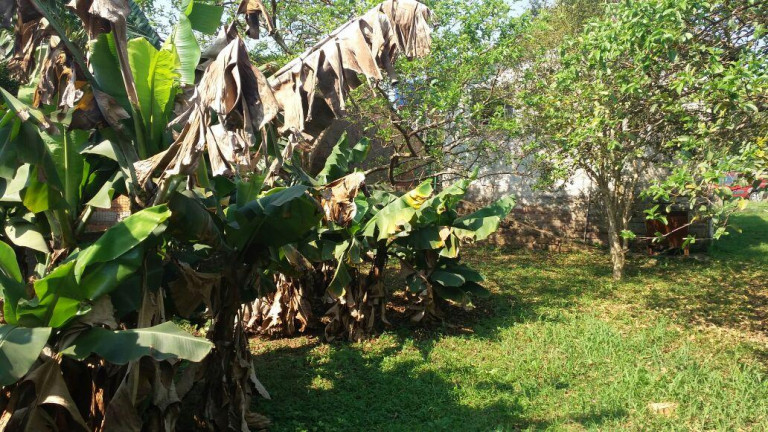 Imagem Terreno à Venda, em Arroio Da Manteiga - São Leopoldo Imagem Terreno à Venda, em Arroio Da Manteiga - São Leopoldo