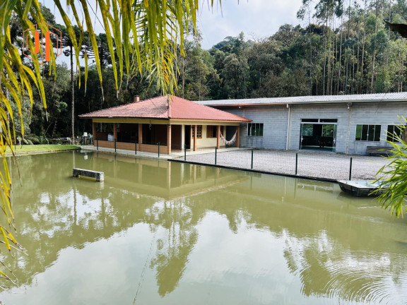 Imagem Imóvel à Venda, 4.000 m² em Borda Do Campo - São José Dos Pinhais