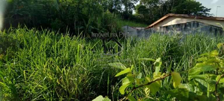 Imagem Terreno à Venda, 337 m² em Massaguaçu - Caraguatatuba