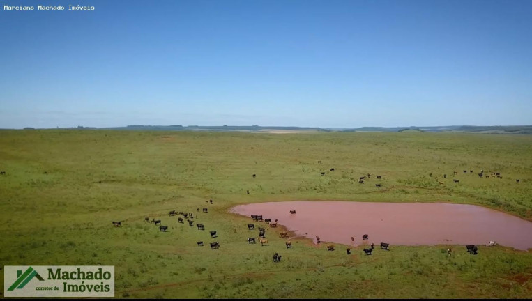 Imagem Imóvel à Venda, 4.847 m² em Rural - Itacurubi Imagem Imóvel à Venda, 4.847 m² em Rural - Itacurubi
