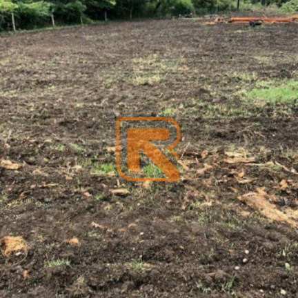 Imagem Fazenda à Venda, 1.030.000 m² em Distrito Jk - Formosa Imagem Fazenda à Venda, 1.030.000 m² em Distrito Jk - Formosa