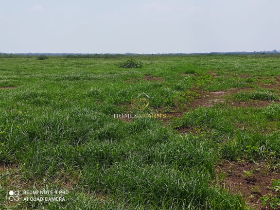 Imagem Imóvel com 3 Quartos à Venda, 88.000 m² em Zona Rural - Poconé Imagem Imóvel com 3 Quartos à Venda, 88.000 m² em Zona Rural - Poconé