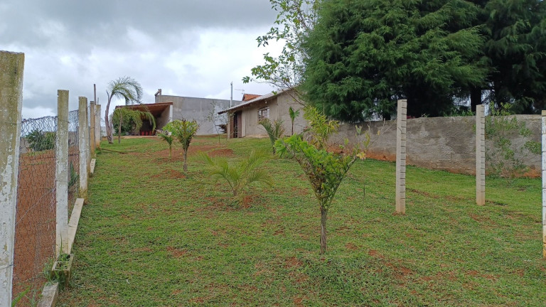 Imagem Fazenda à Venda, em Centro - Contenda Imagem Fazenda à Venda, em Centro - Contenda