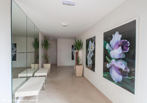 Imagem Apartamento com 2 Quartos à Venda, 45 m² em Jardim Umarizal - São Paulo Imagem Apartamento com 2 Quartos à Venda, 45 m² em Jardim Umarizal - São Paulo