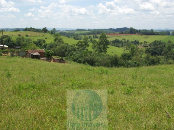 Imagem Imóvel com 4 Quartos à Venda, 1.694.000 m² em Zona Rural - Jacui