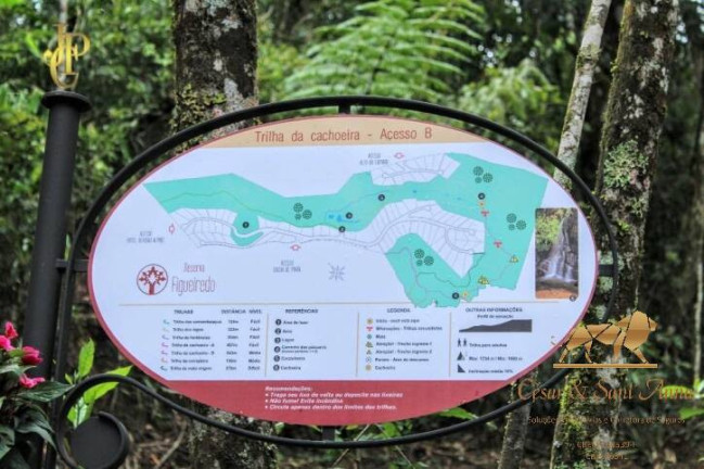 Imagem Terreno à Venda, 1.000 m² em Alto Do Capivari - Campos Do Jordão Imagem Terreno à Venda, 1.000 m² em Alto Do Capivari - Campos Do Jordão