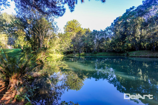 Imagem Chácara com 4 Quartos à Venda, 200 m² em área Rural - Mafra