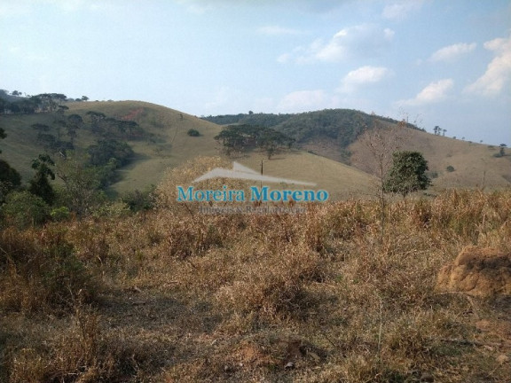 Imagem Imóvel à Venda, 1 m² em Zona Rural - Borda Da Mata Imagem Imóvel à Venda, 1 m² em Zona Rural - Borda Da Mata
