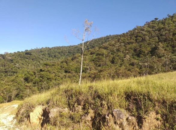 Imagem Fazenda à Venda, 726.000 m² em Tomba - Feira De Santana Imagem Fazenda à Venda, 726.000 m² em Tomba - Feira De Santana