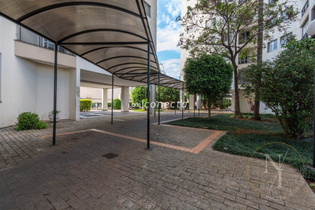 Imagem Apartamento com 3 Quartos à Venda, 67 m² em Jardim Vila Formosa - São Paulo Imagem Apartamento com 3 Quartos à Venda, 67 m² em Jardim Vila Formosa - São Paulo