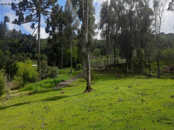 Imagem Terreno à Venda, 2 m² em Linha Imperial - Nova Petrópolis