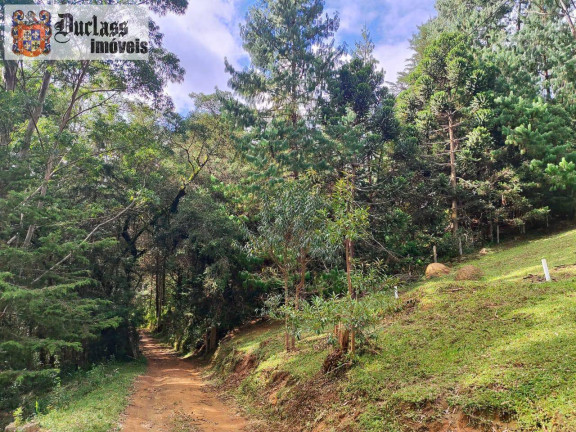 Imagem Chácara à Venda, 60.500 m² em Bom Jardim - Camanducaia Imagem Chácara à Venda, 60.500 m² em Bom Jardim - Camanducaia