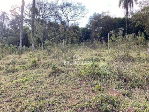 Imagem Terreno à Venda, 120.000 m² em Novo Horizonte - Igarapé Imagem Terreno à Venda, 120.000 m² em Novo Horizonte - Igarapé