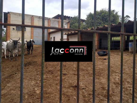 Imagem Chácara com 8 Quartos à Venda, 380 m² em Centro - Boituva Imagem Chácara com 8 Quartos à Venda, 380 m² em Centro - Boituva