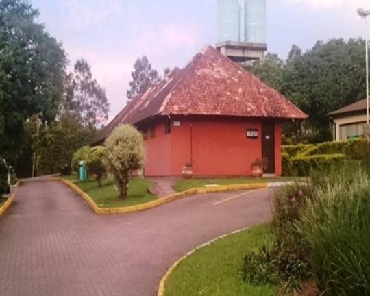 Imagem Terreno à Venda, 2.000 m² em Paragem Dos Verdes Campos - Gravataí Imagem Terreno à Venda, 2.000 m² em Paragem Dos Verdes Campos - Gravataí