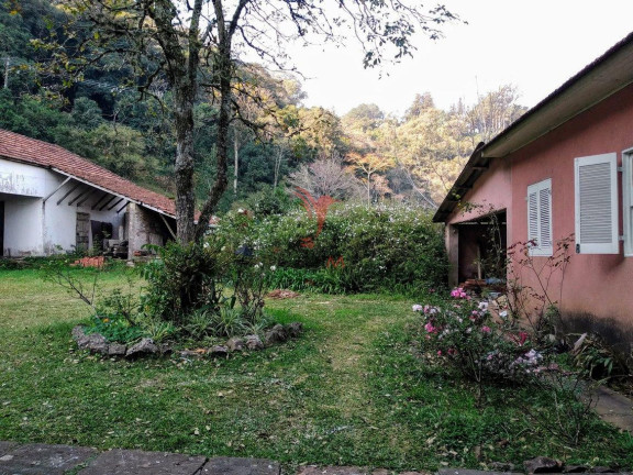 Imagem Imóvel à Venda, 69.000 m² em Zona Rural - Morro Reuter Imagem Imóvel à Venda, 69.000 m² em Zona Rural - Morro Reuter
