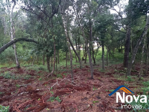 Imagem Imóvel à Venda, 811 m² em Vila Germânia - Nova Petrópolis