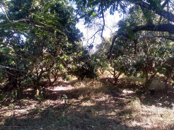Imagem Chácara com 3 Quartos à Venda, 77.440 m² em Distrito Industrial - Capela Do Alto