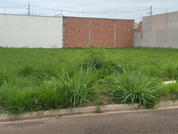 Imagem Terreno à Venda, 250 m² em Parque São Matheus - Piracicaba Imagem Terreno à Venda, 250 m² em Parque São Matheus - Piracicaba