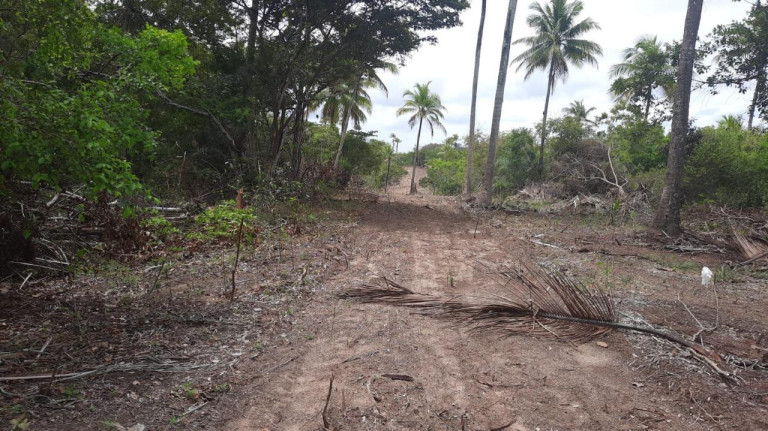 Imagem Terreno à Venda, 300 m² em Barra Do Pojuca (monte Gordo) - Camaçari